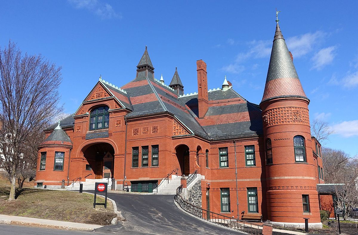 Tree Services in Belmont, MA
