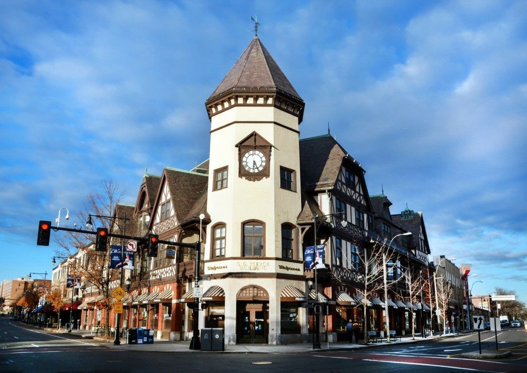 Tree Removal Company in Brookline, MA