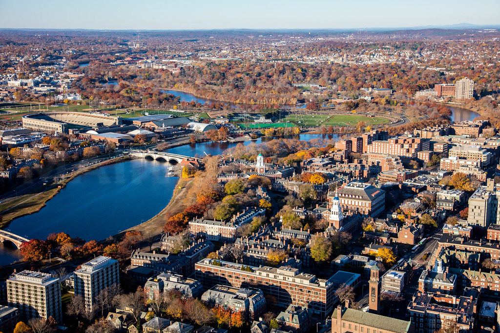 Tree Removal Company in Cambridge, MA